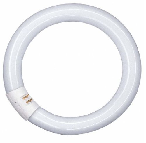 Лампа люминесцентная Osram L22W/840 T8 Трубчатая G10Q G13 220В 22Вт 1350Лм 4000К 26х216мм картинка 